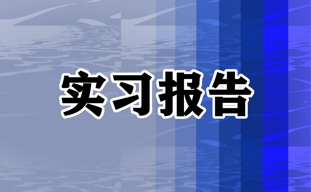 大学毕业生实习心得体会